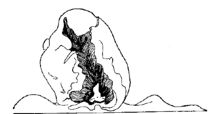 盤(pán)點(diǎn)各類地質(zhì)地貌類型-地?zé)豳Y源開(kāi)發(fā)-地大熱能