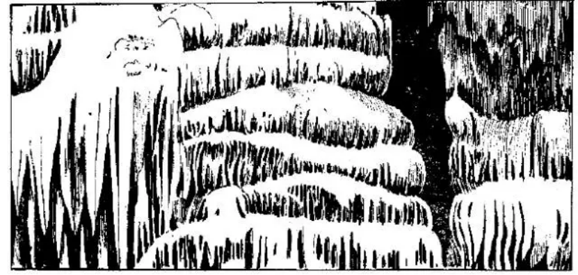 盤(pán)點(diǎn)各類地質(zhì)地貌類型-地?zé)豳Y源開(kāi)發(fā)-地大熱能