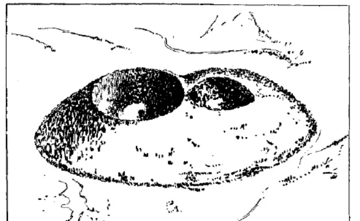 盤(pán)點(diǎn)各類地質(zhì)地貌類型-地?zé)豳Y源開(kāi)發(fā)-地大熱能