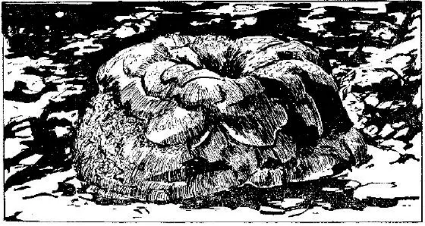 盤(pán)點(diǎn)各類地質(zhì)地貌類型-地?zé)豳Y源開(kāi)發(fā)-地大熱能